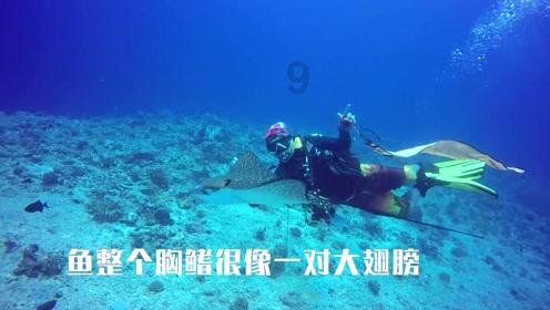 超西游记2